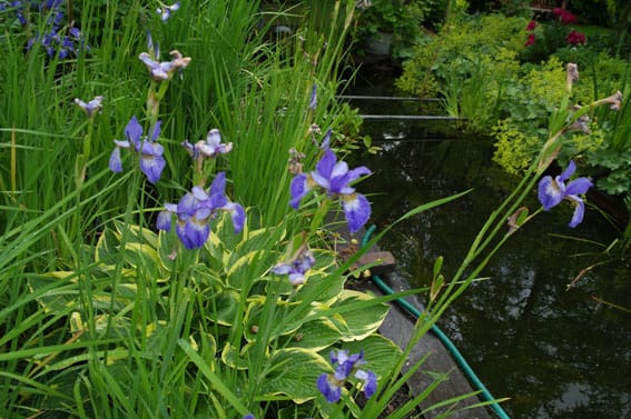 Foto 36 van Mijzijde 84