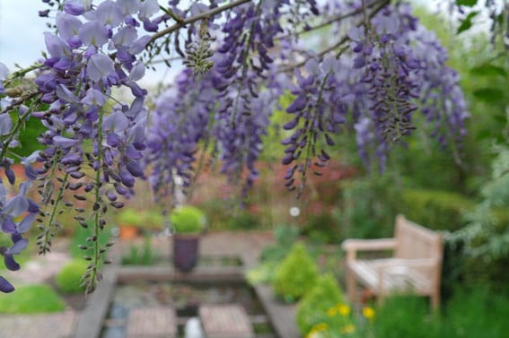 Foto 38 van Mijzijde 84