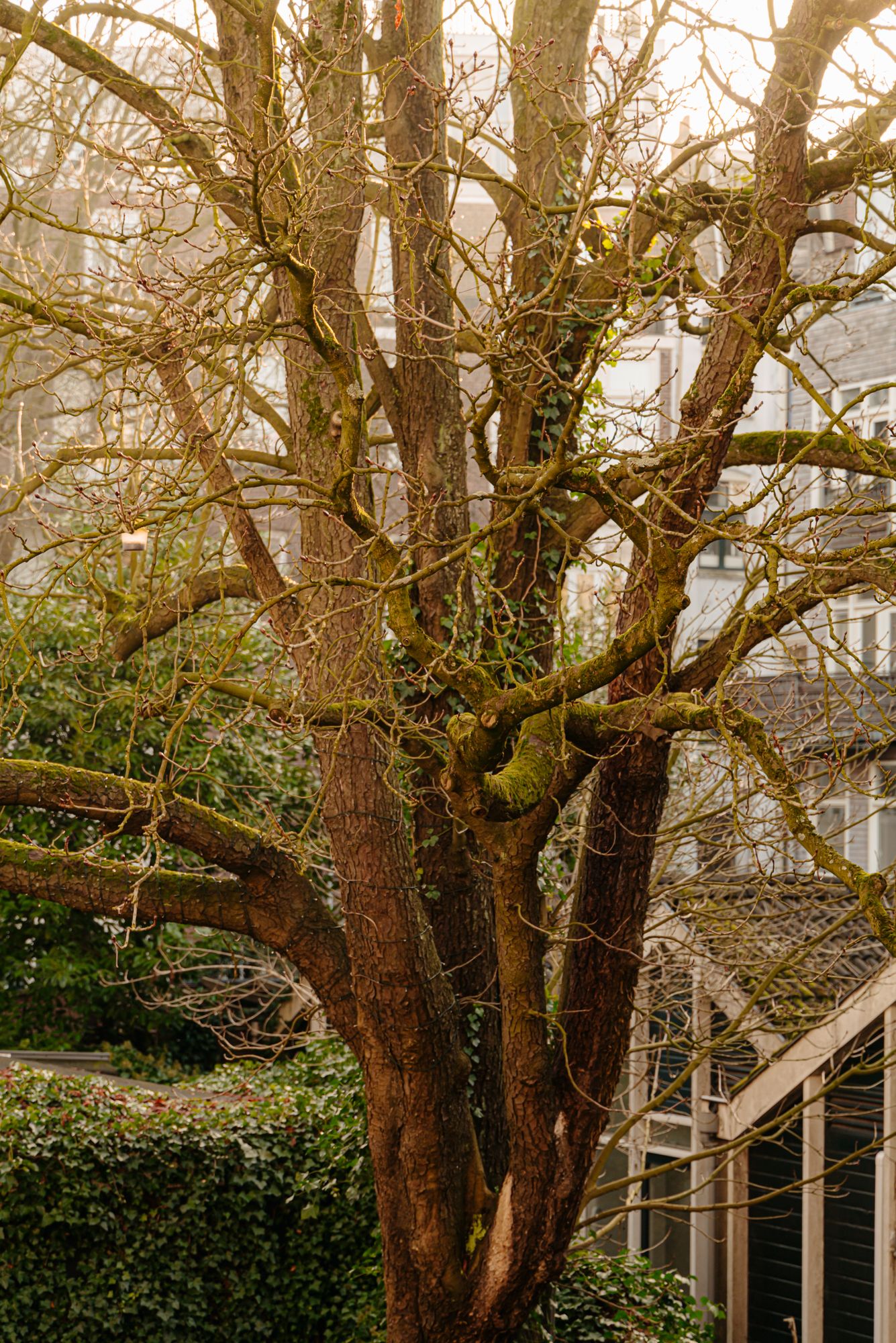 Foto 14 van Balthasar Floriszstraat 28-1