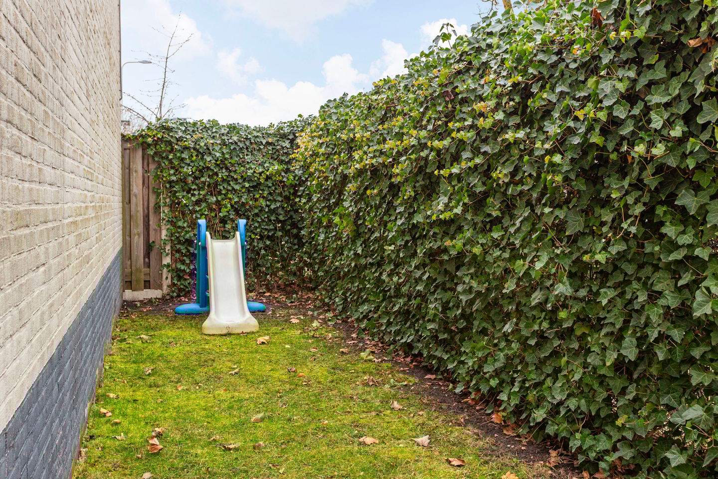 Photo 19 of Arubadreef 2