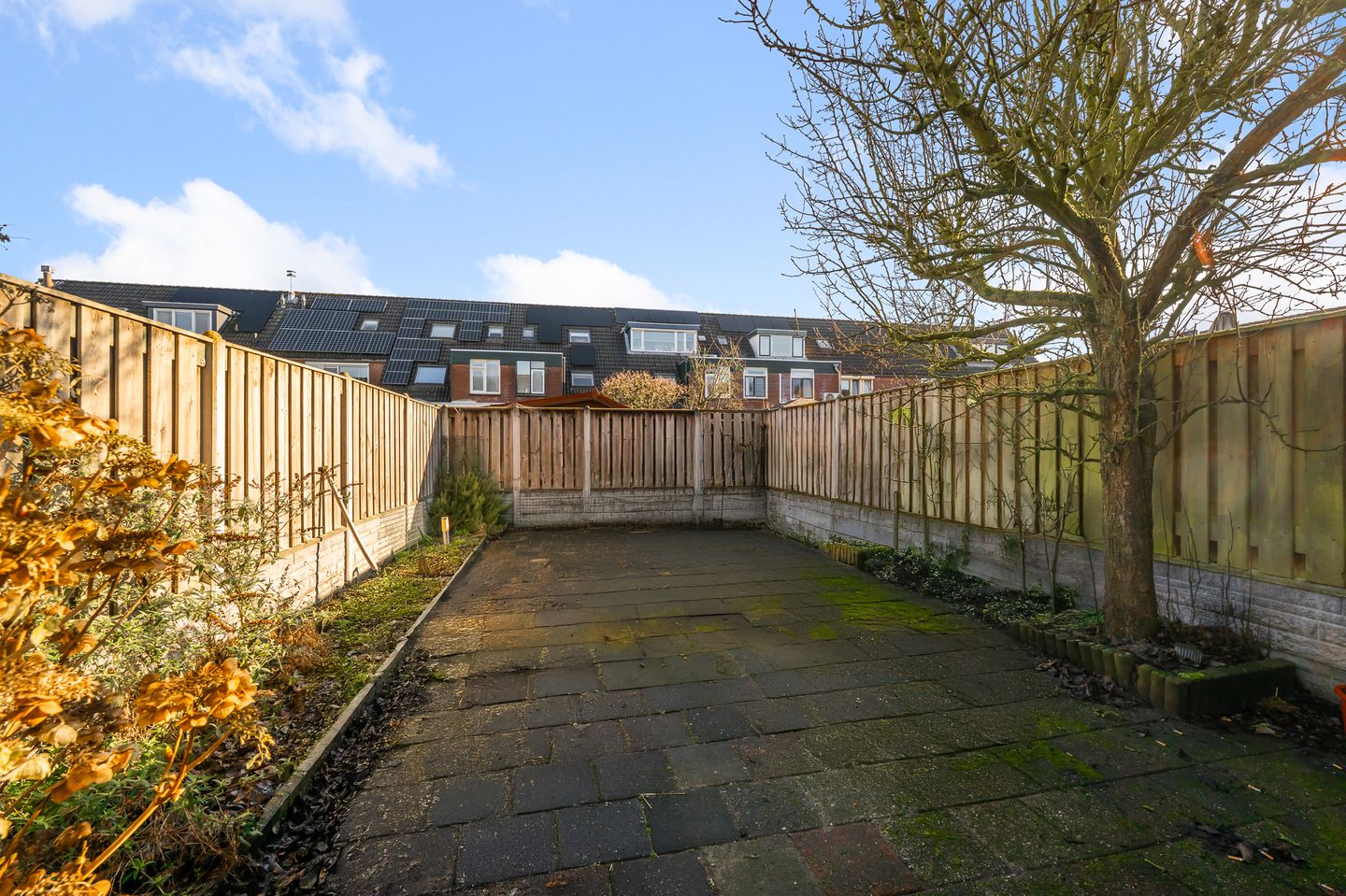 Foto 20 van Koningsmantel 9