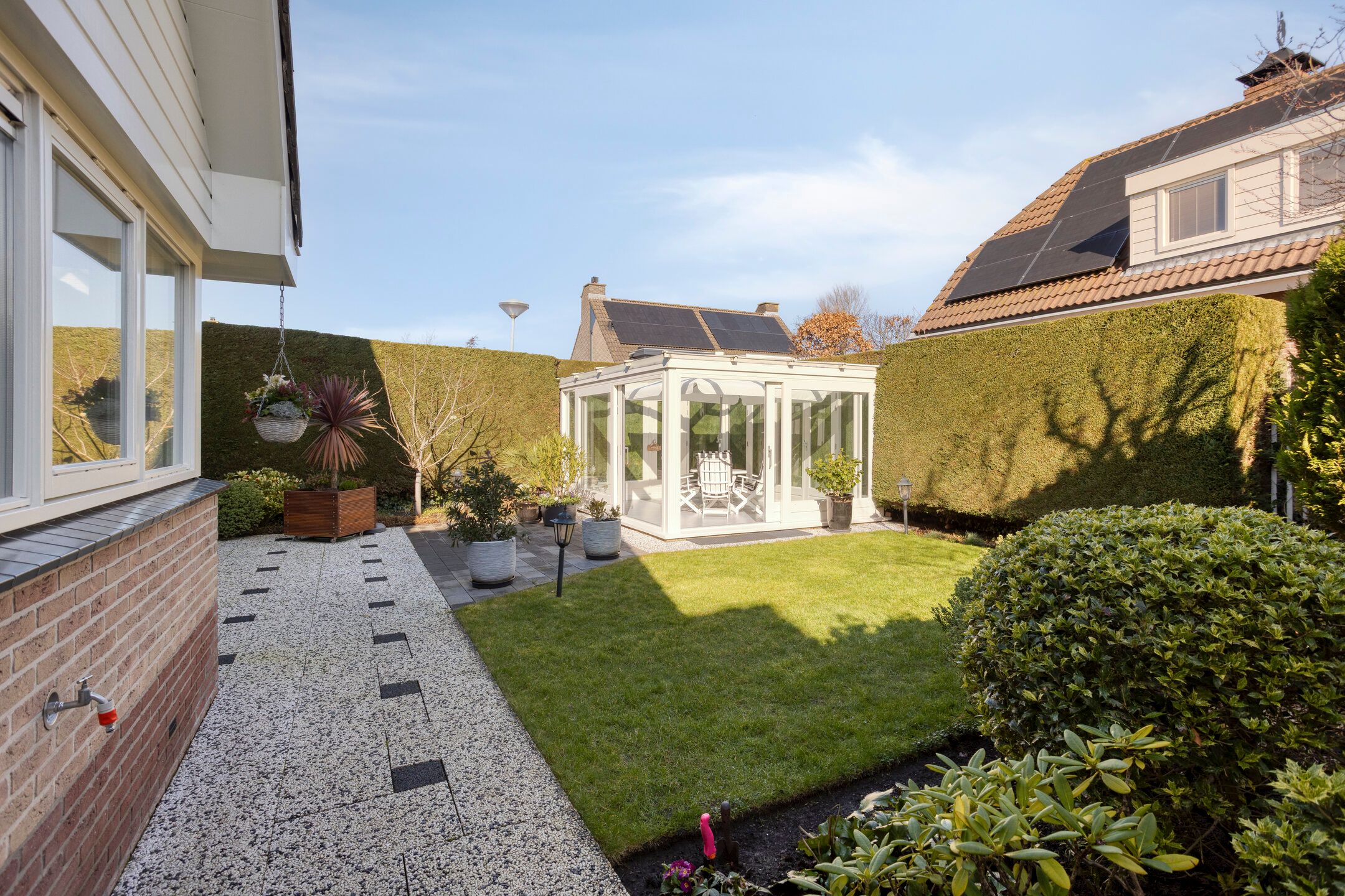 Photo 21 of Vroegeling 8