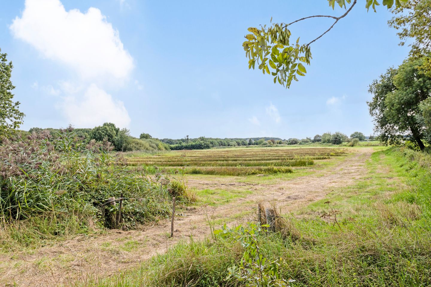 Foto 50 van Dorpstraat 21-A