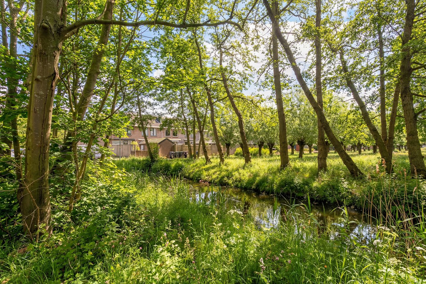 Foto 35 van Bergoord 11