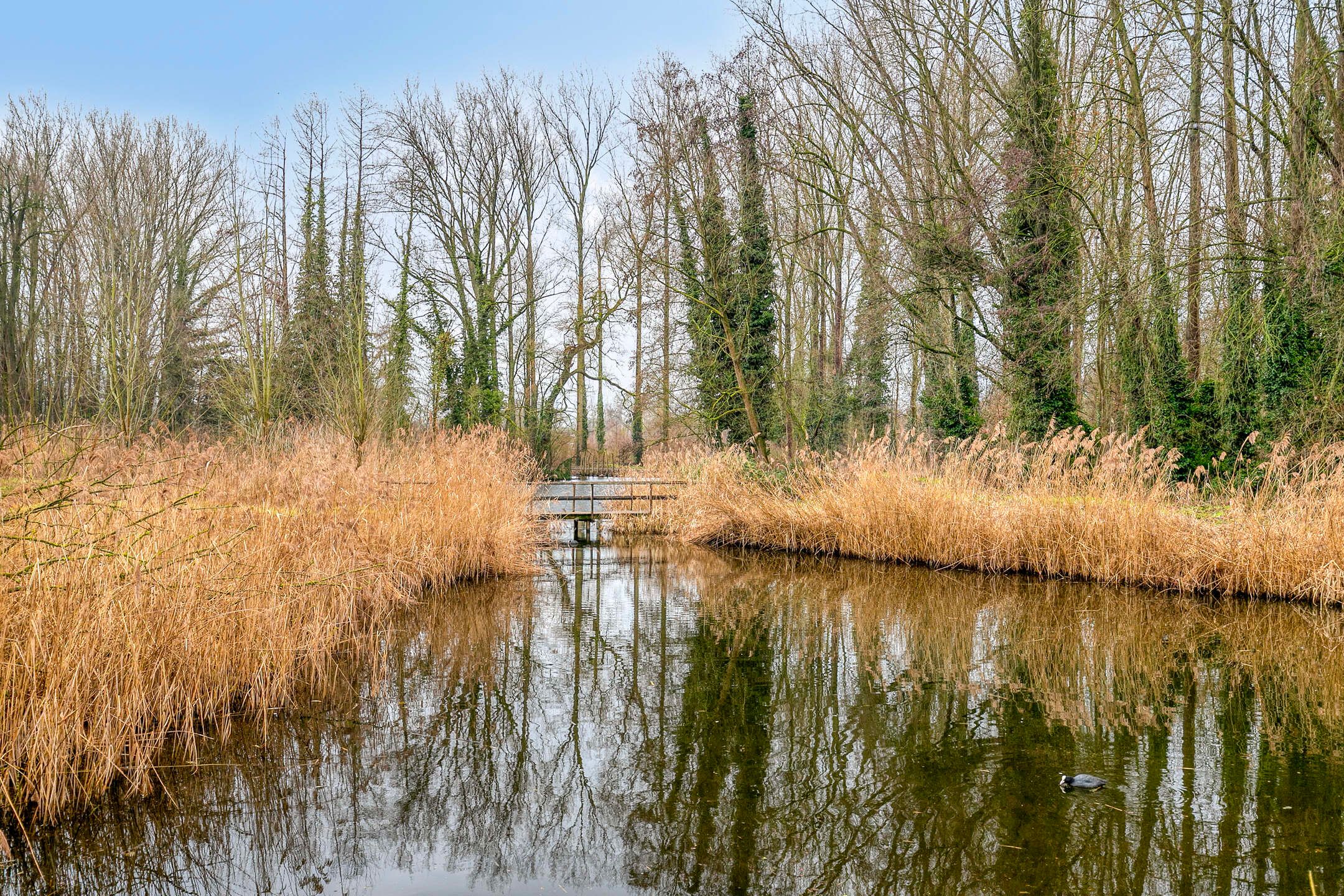 Foto 42 van Burgemeester van der Weidenlaan 63