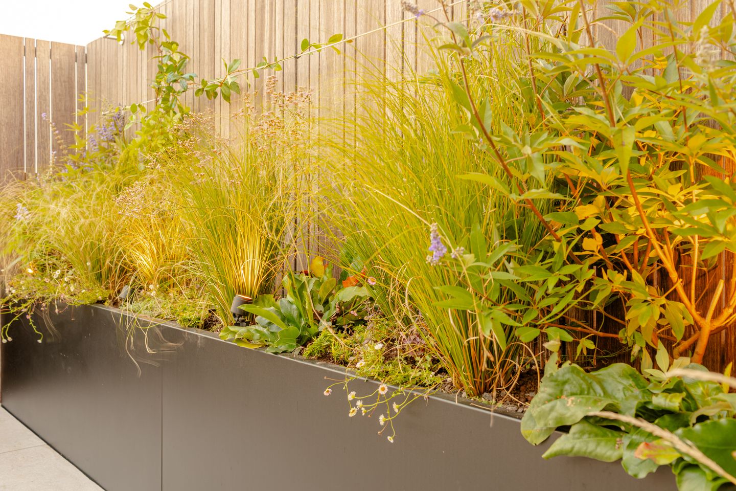 Foto 44 van Stadionweg 271-3