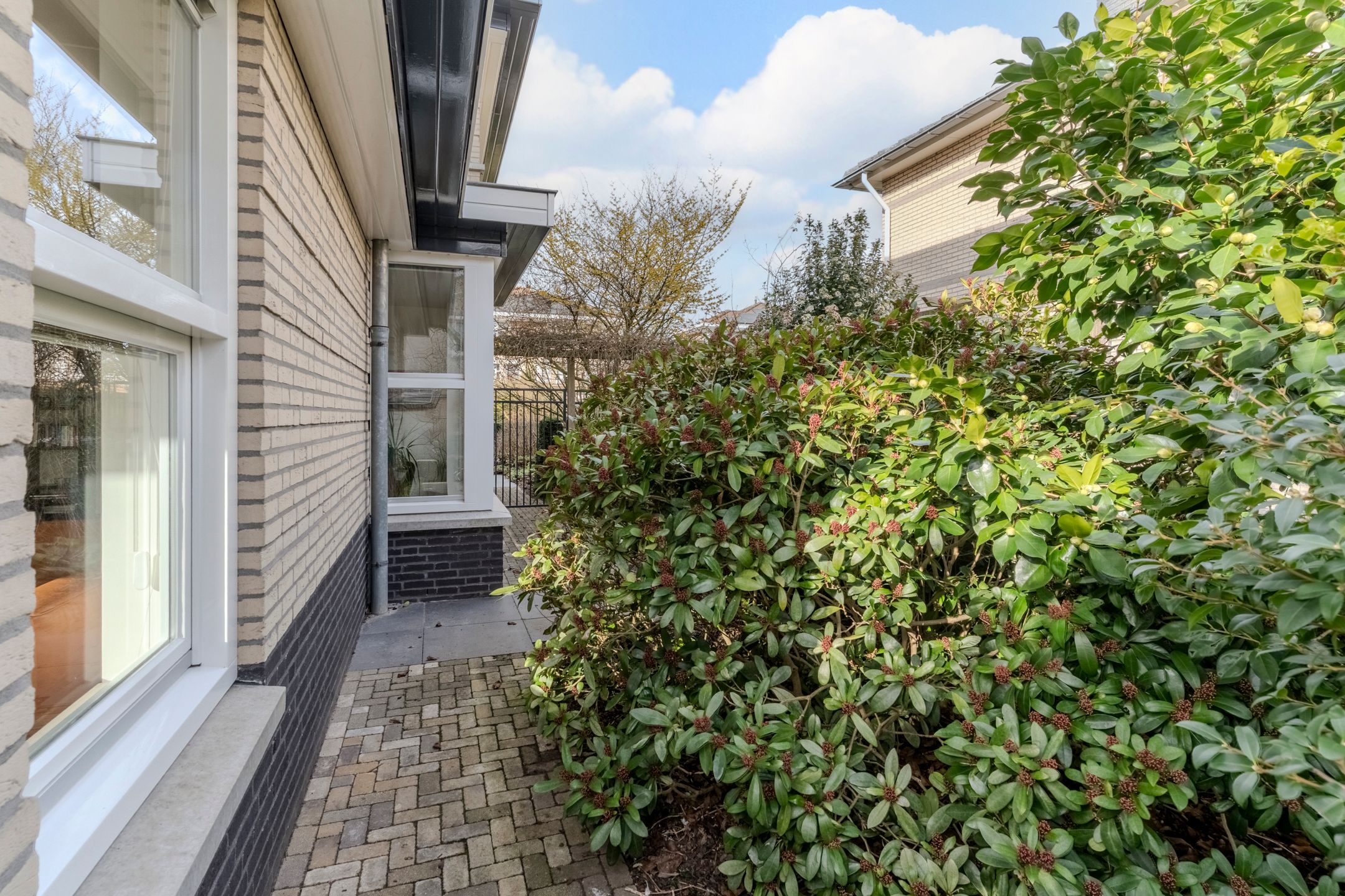 Foto 60 van Nimrodel 22