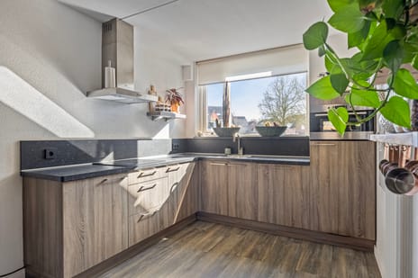 Geelgorshof 11 tertiary image