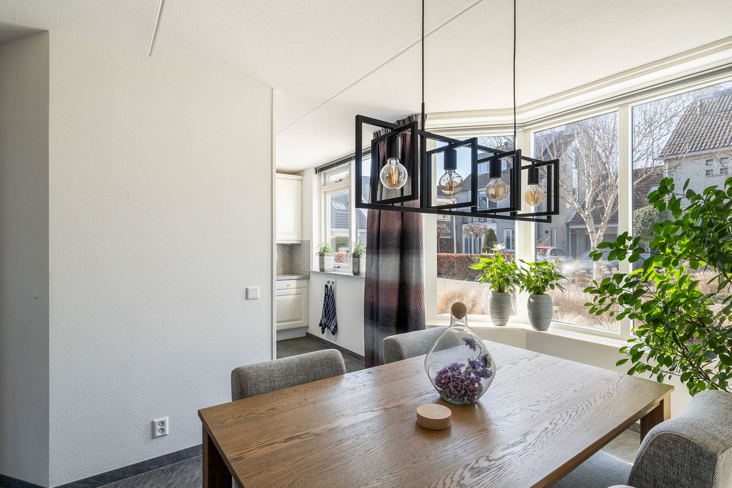 Photo 10 of Meerkoet 130