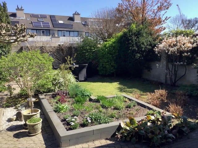 Photo 13 of Meerkoet 130