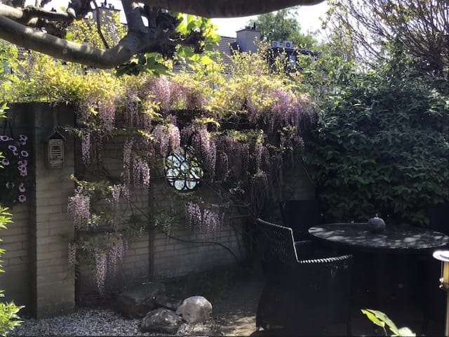 Photo 15 of Meerkoet 130