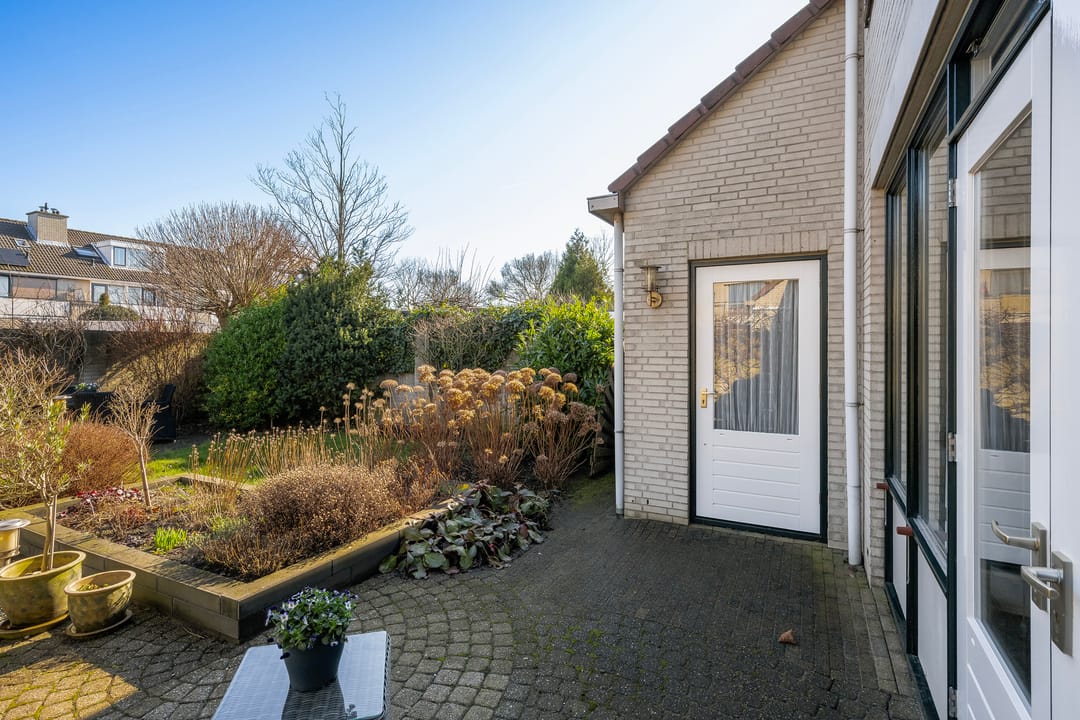 Photo 17 of Meerkoet 130