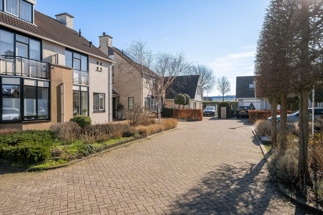 Photo 38 of Meerkoet 130