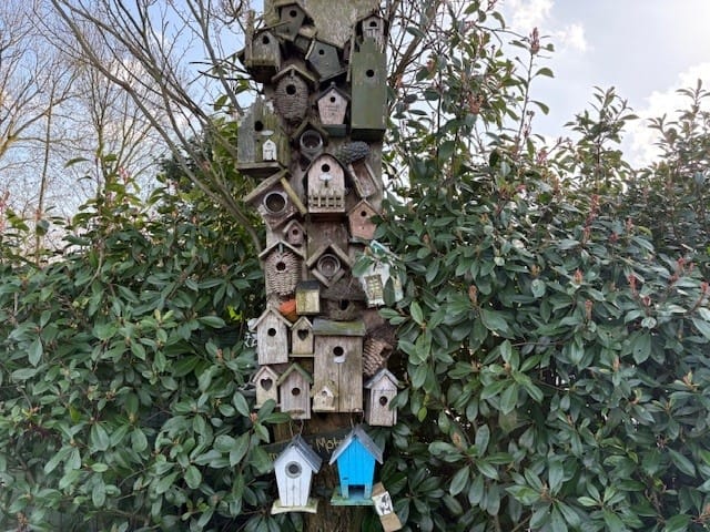 Foto 24 van Veenhuizerveldweg 16-67