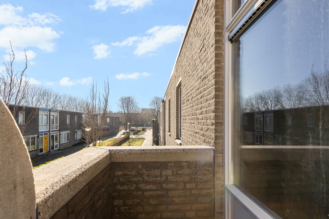 Foto 31 van Praagpad 13