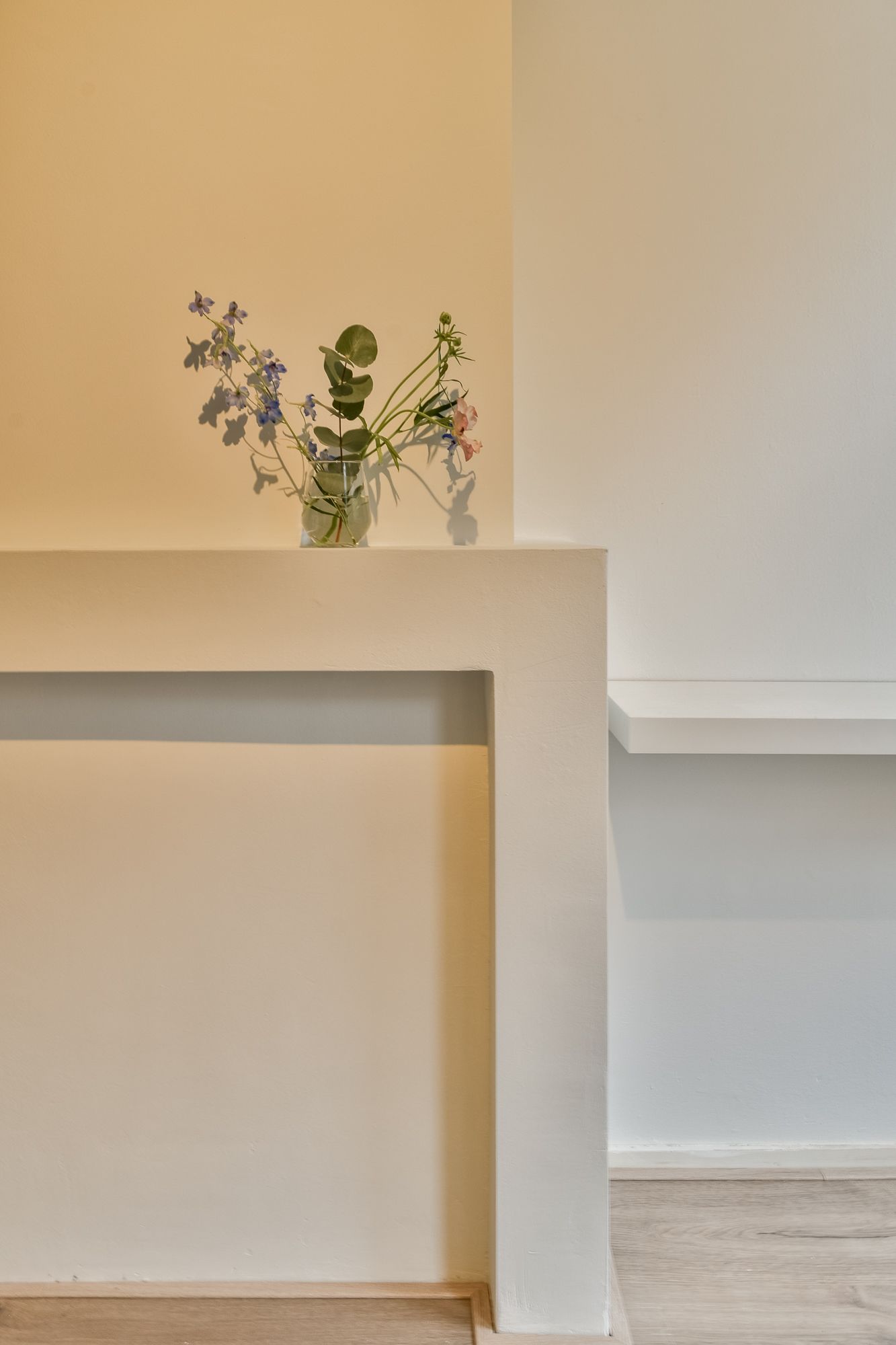 Foto 5 van Gerard Doustraat 98-2A