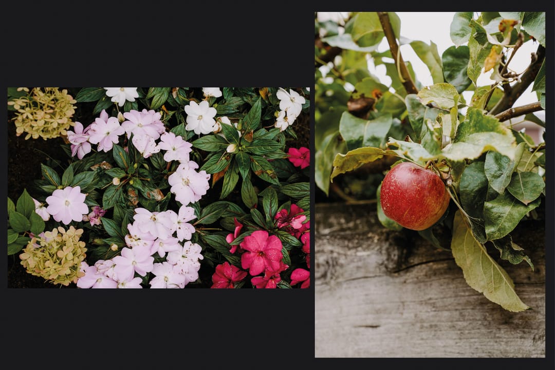 Foto 23 van Morelstraat 57