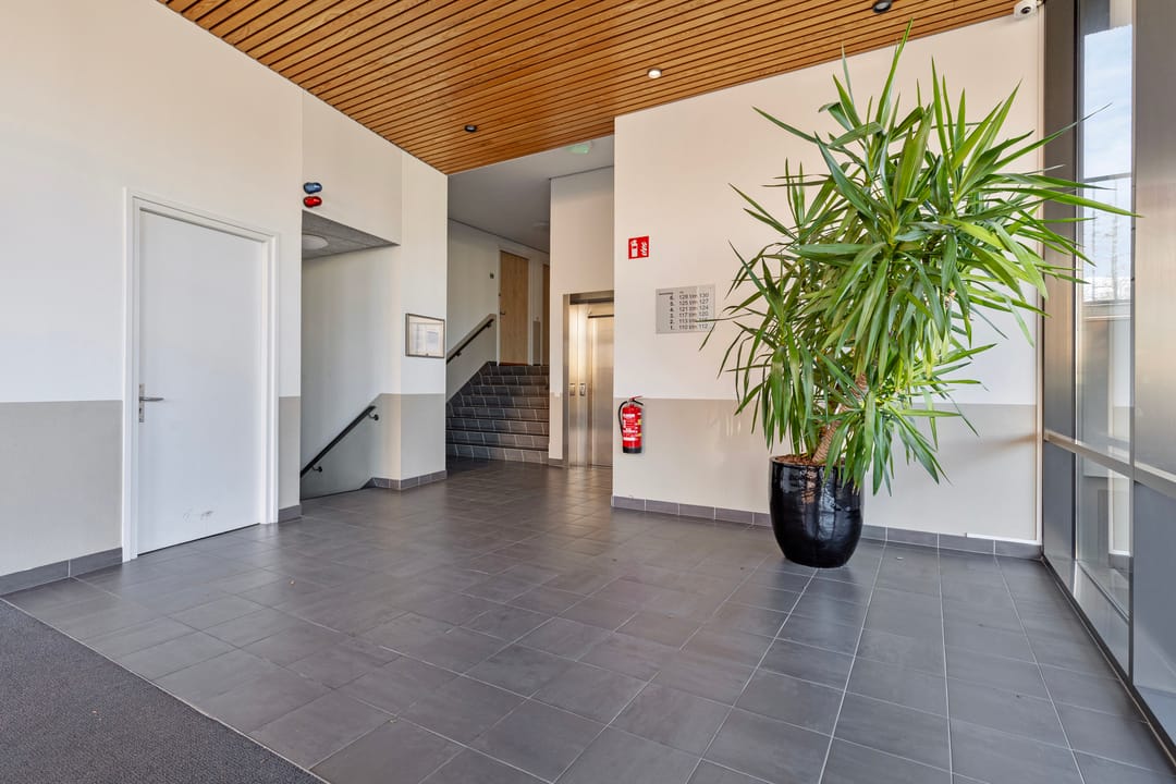 Photo 31 of Mergelven 120