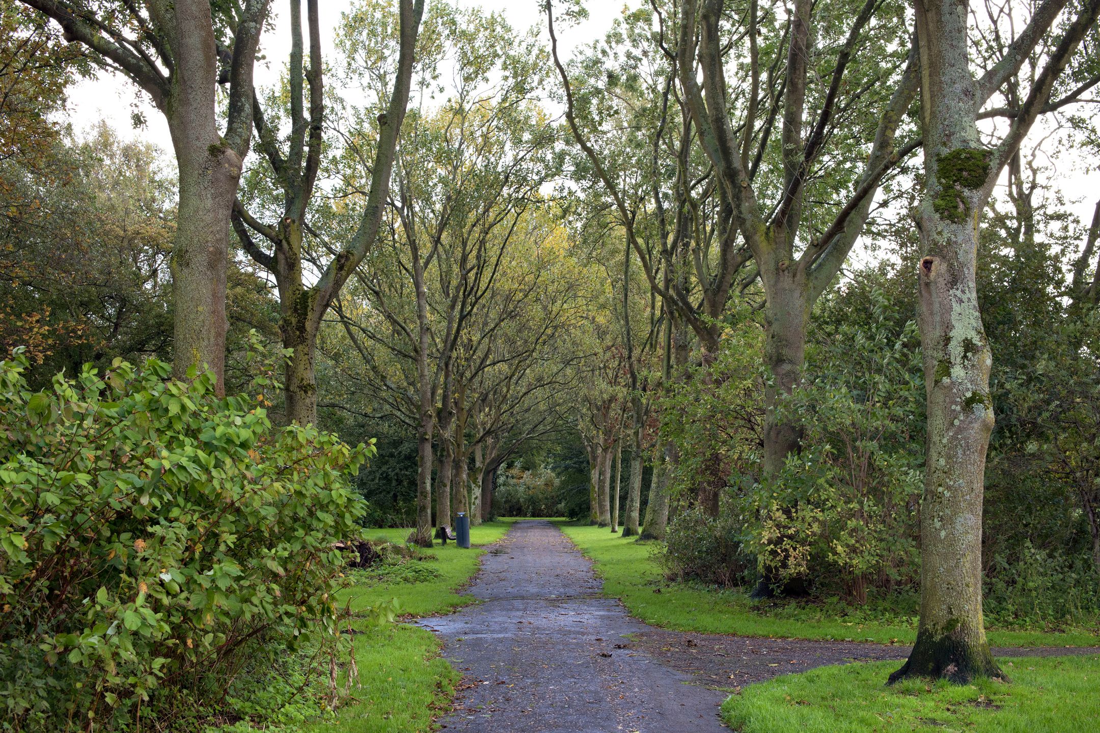 Photo 39 of Planetenlaan 36-I