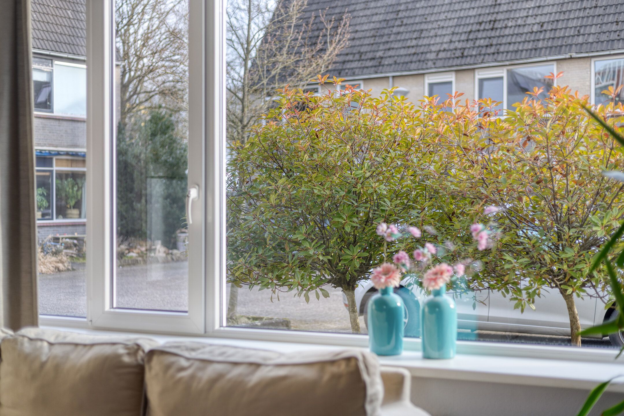 Photo 6 of Komeet 21