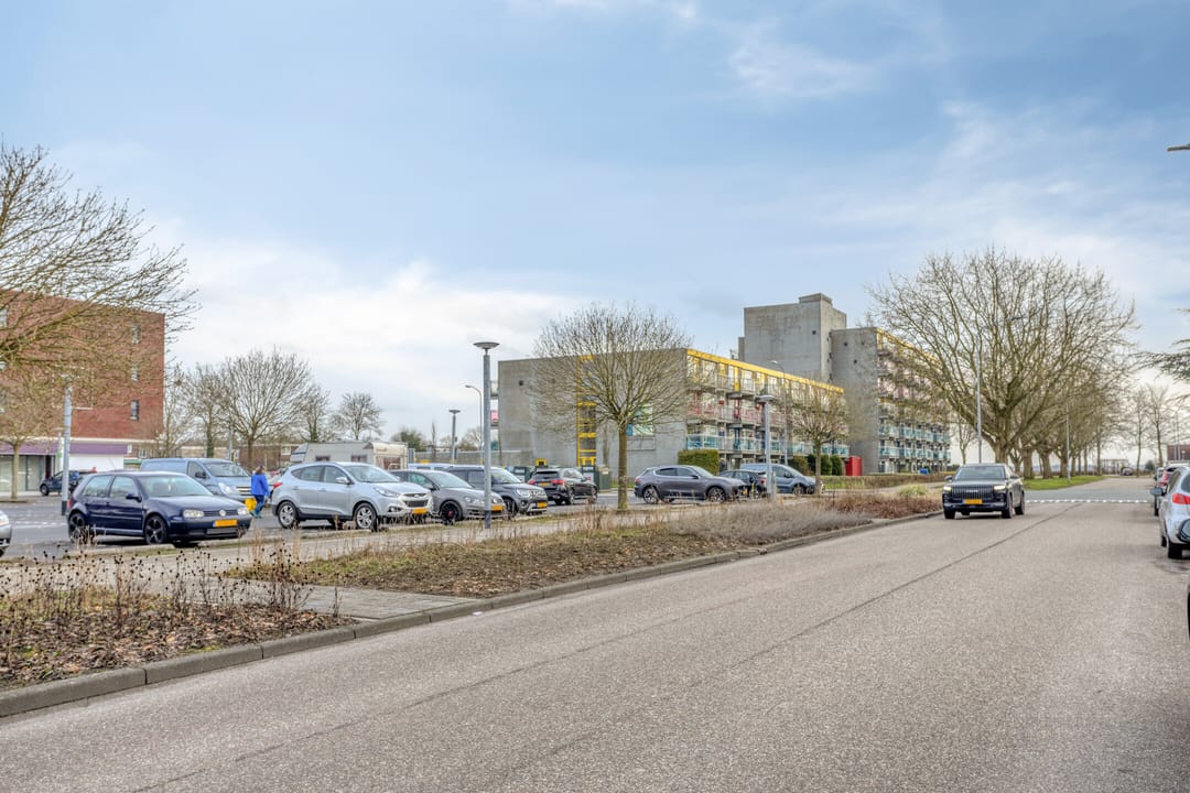 Photo 58 of Komeet 21