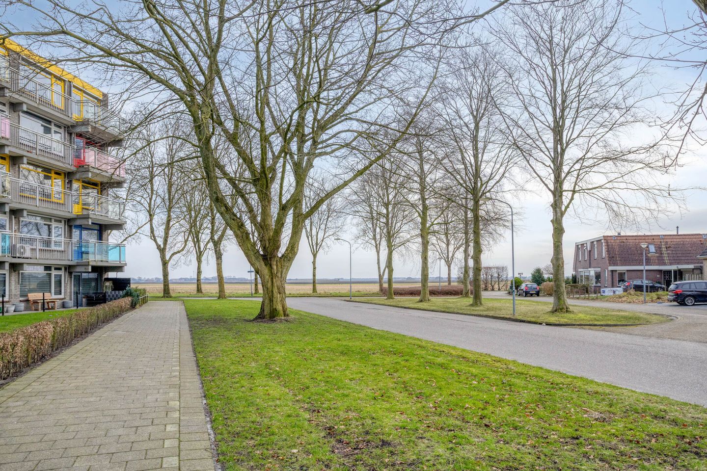 Photo 59 of Komeet 21