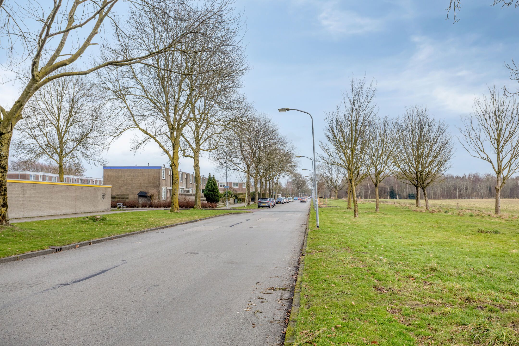 Photo 60 of Komeet 21