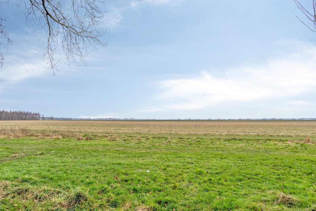 Photo 61 of Komeet 21