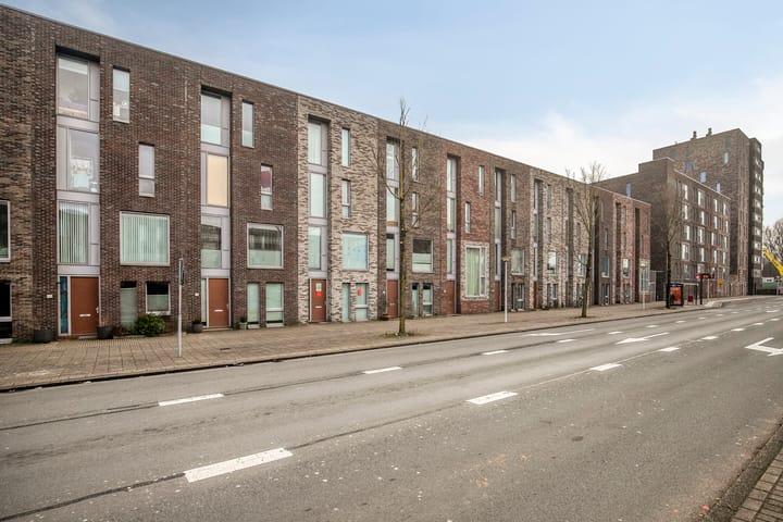 Foto 2 van Bermuda 12