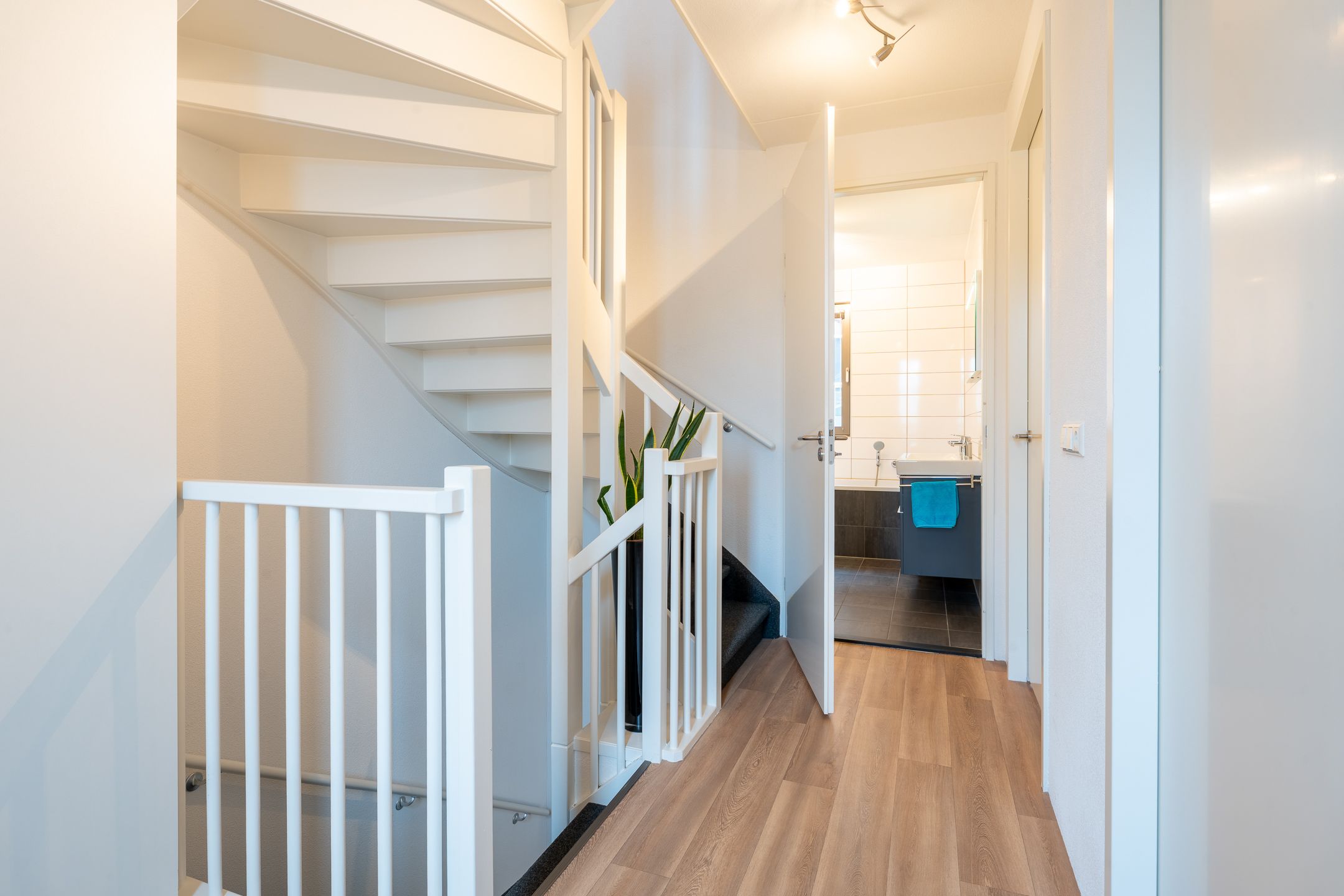 Photo 12 of Rooi Hartenpark 2