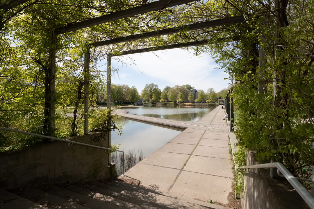 Photo 37 of Rooi Hartenpark 2