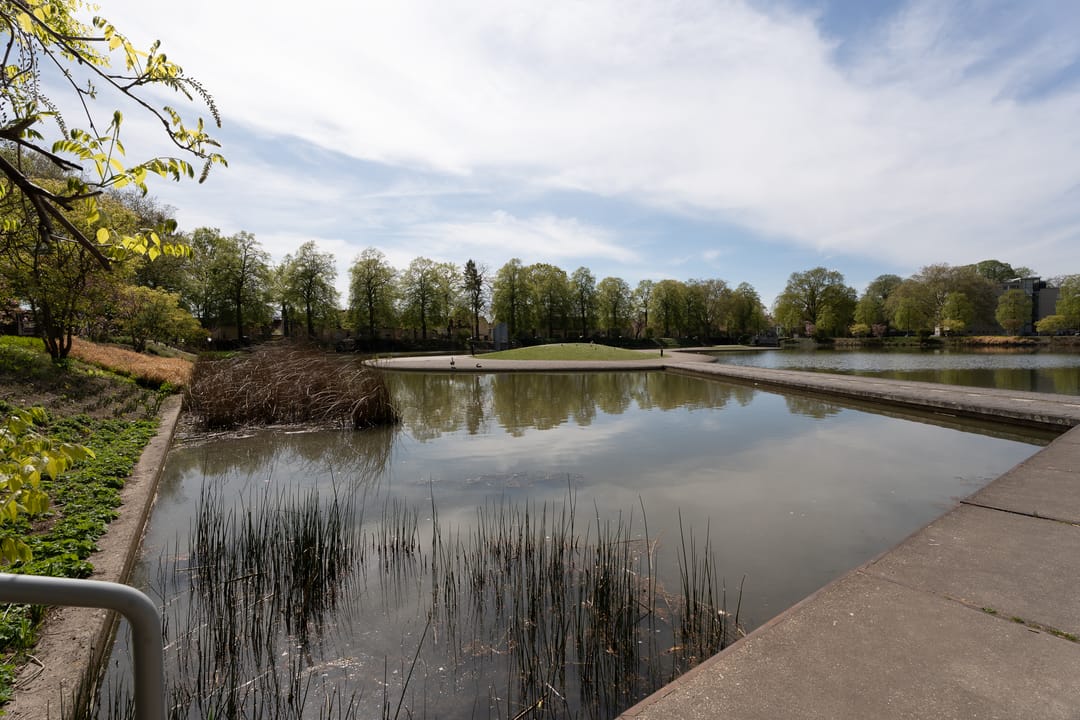 Photo 38 of Rooi Hartenpark 2