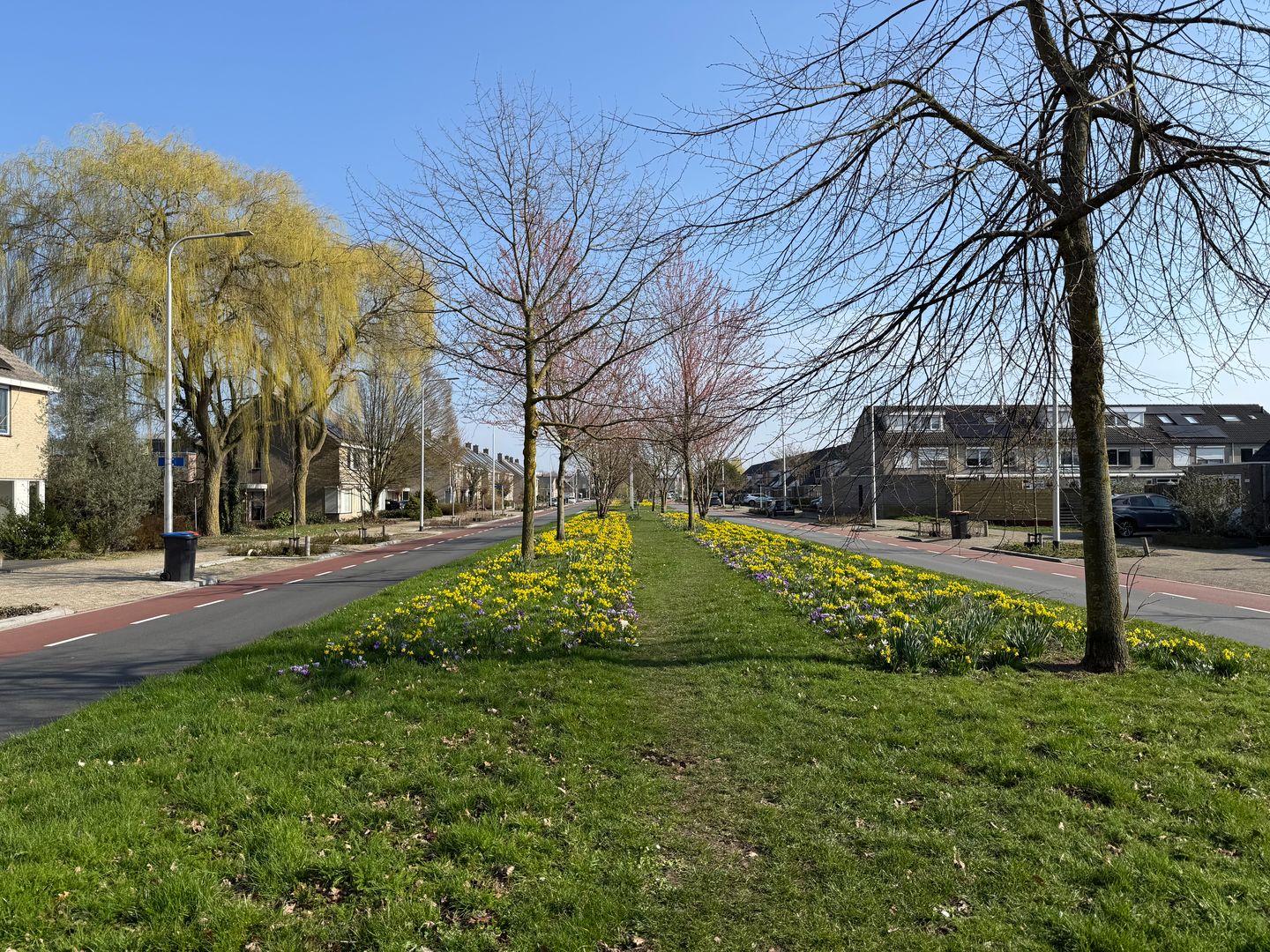 Foto 40 van Hoge Witsiestraat 30