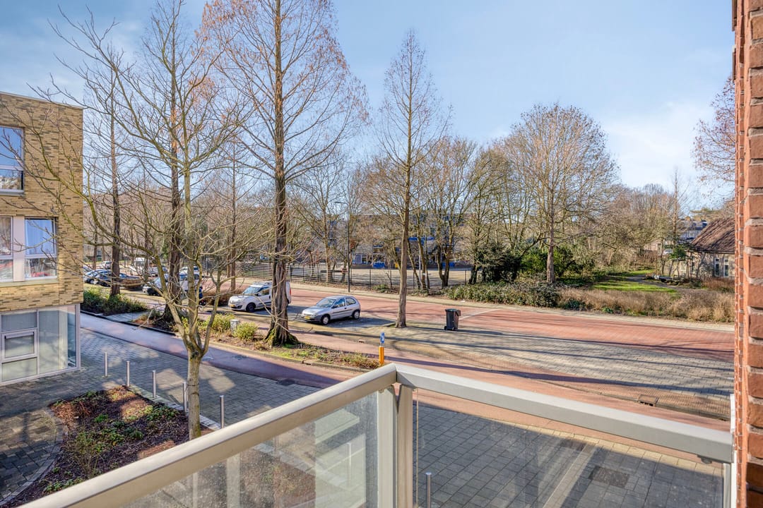 Foto 46 van Diamantlaan 244