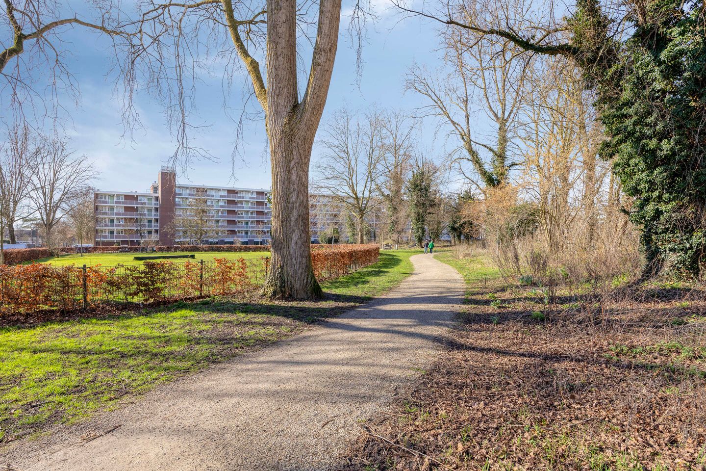 Foto 50 van Diamantlaan 244