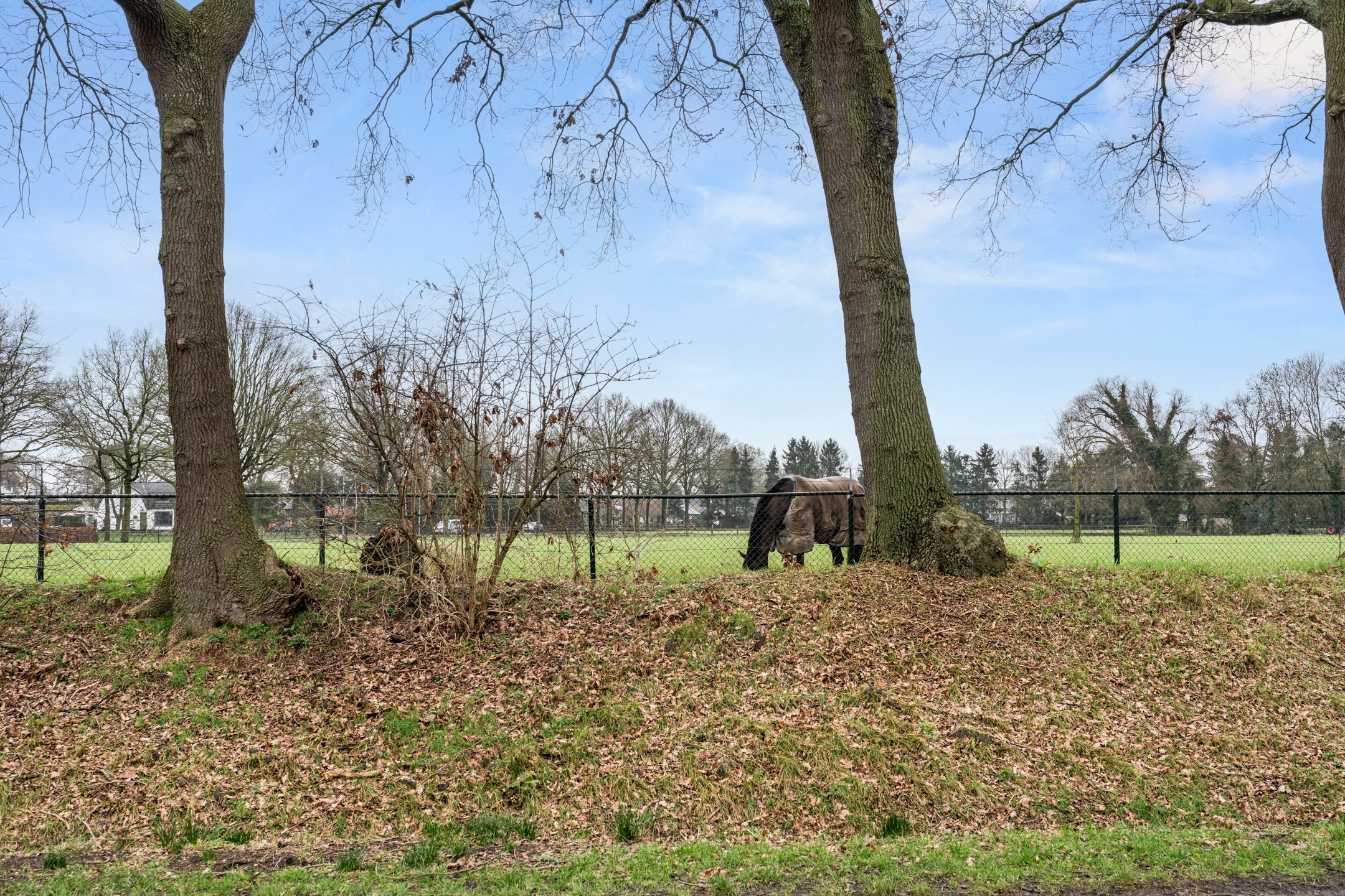 Foto 3 van Postweg 89-A