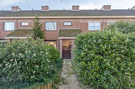 undefined main image