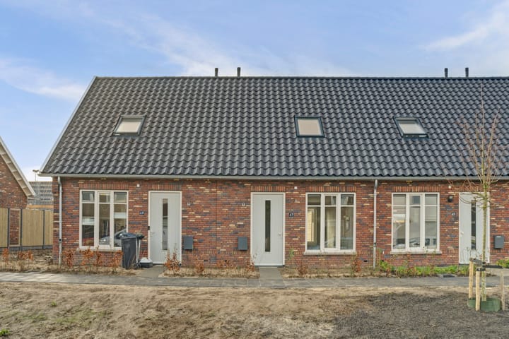 Atletiek 67 main image