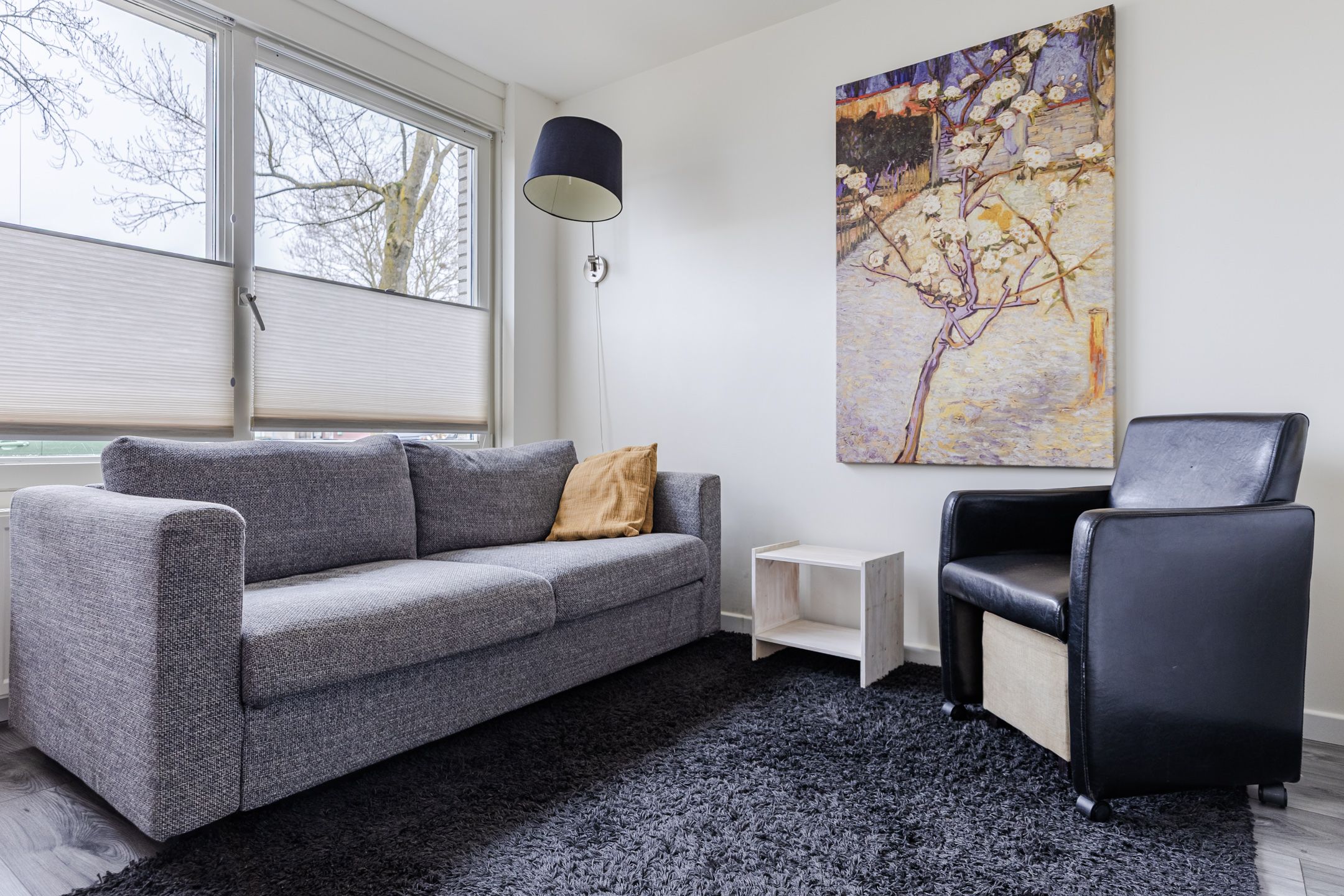 Foto 12 van Francina Spoelstraat 15