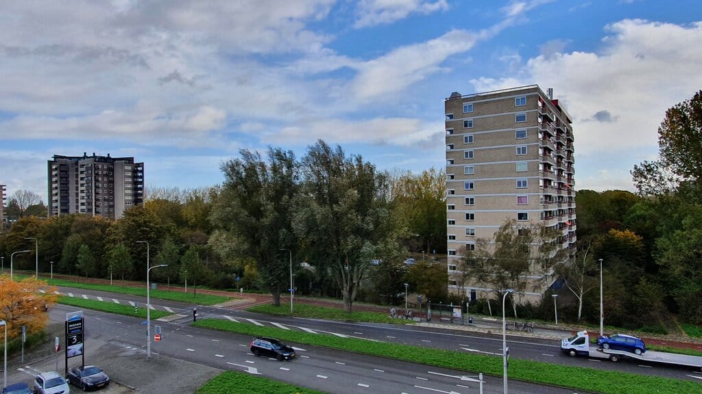 Photo 9 of Binderij 9