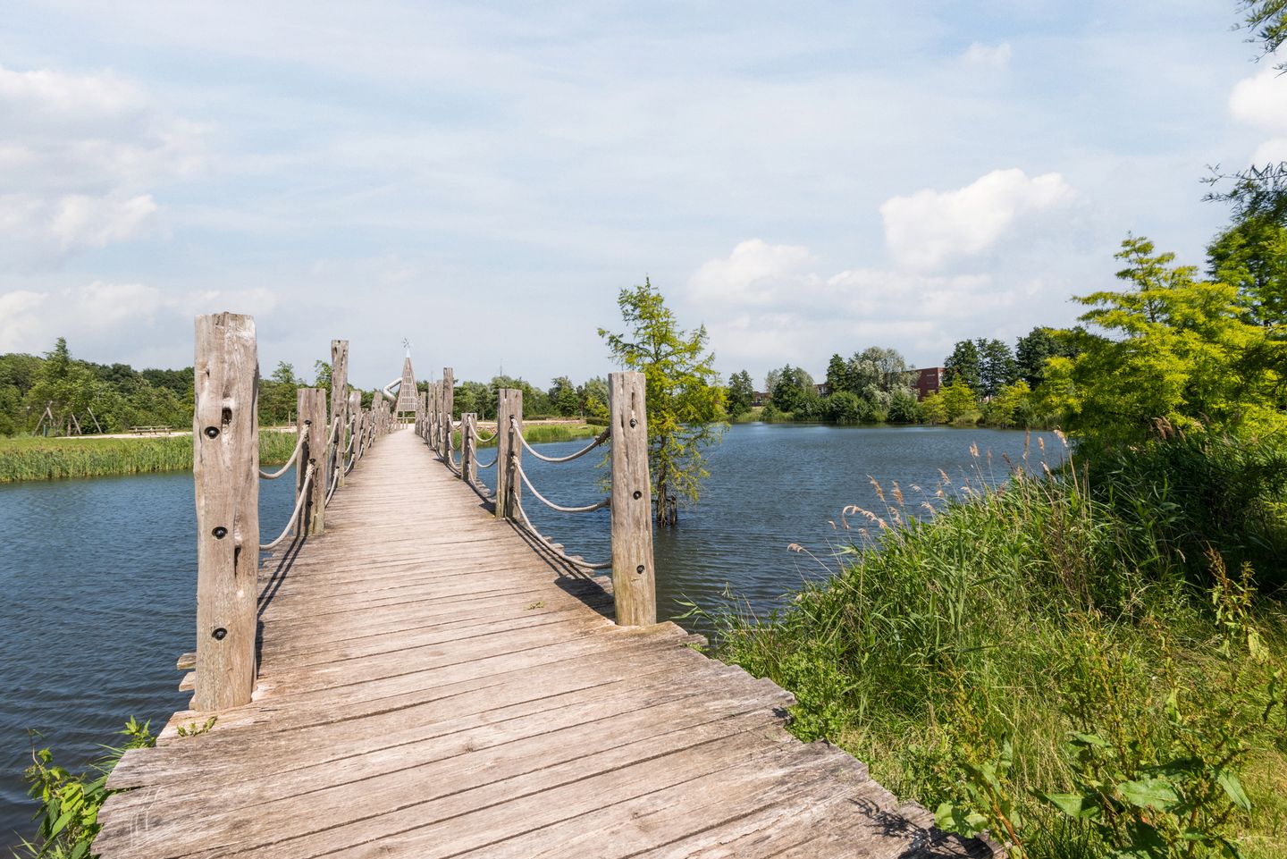 Foto 50 van Drielandendreef 268