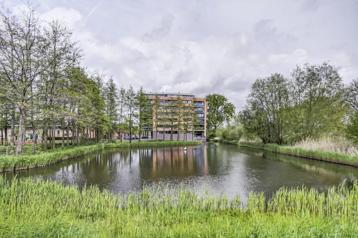 Akkerviool 85 main image