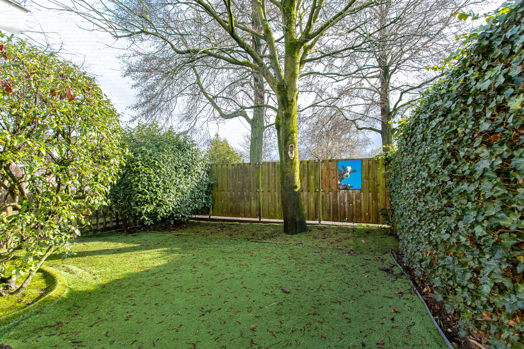 Foto 48 van Violierstraat 6