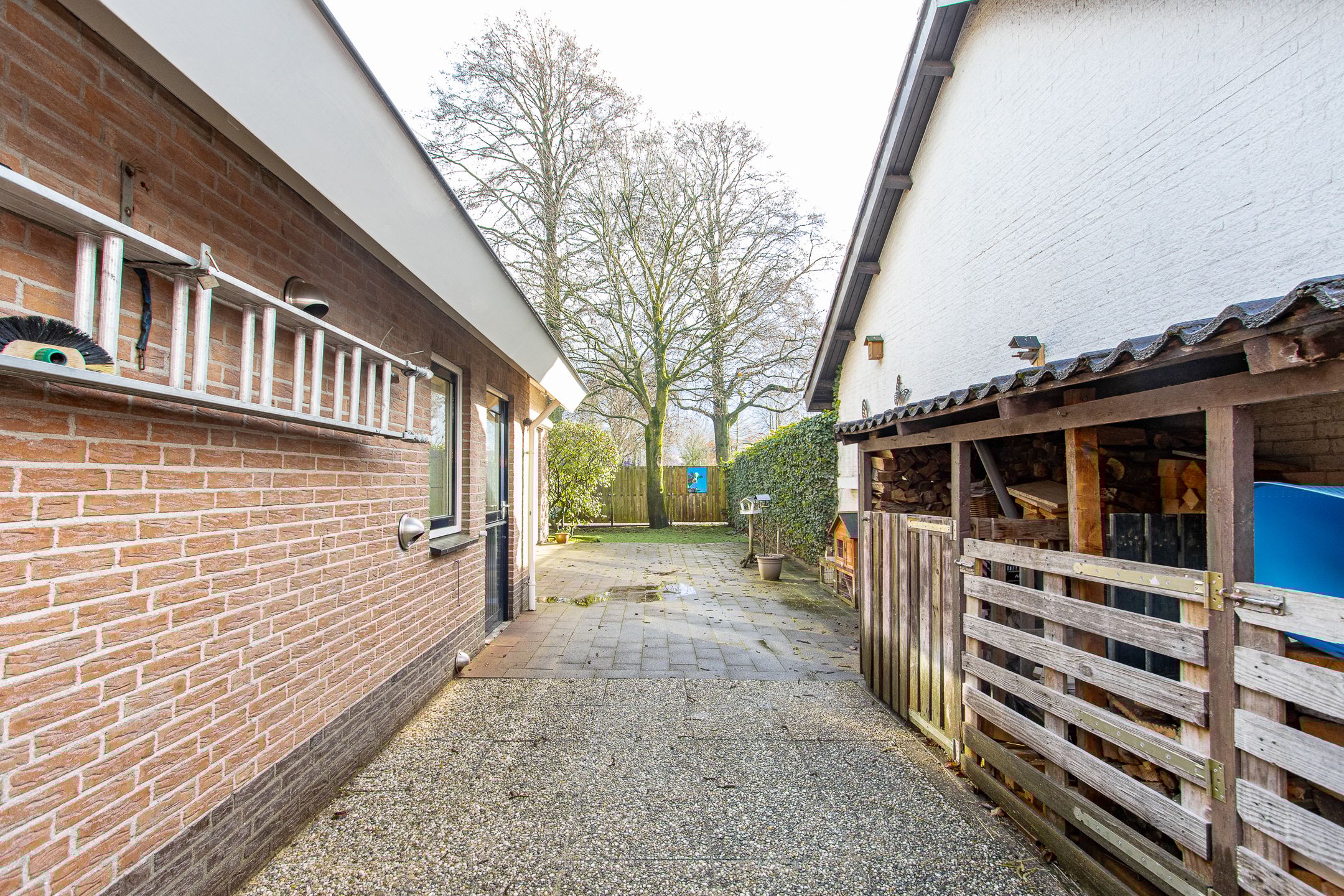 Foto 51 van Violierstraat 6