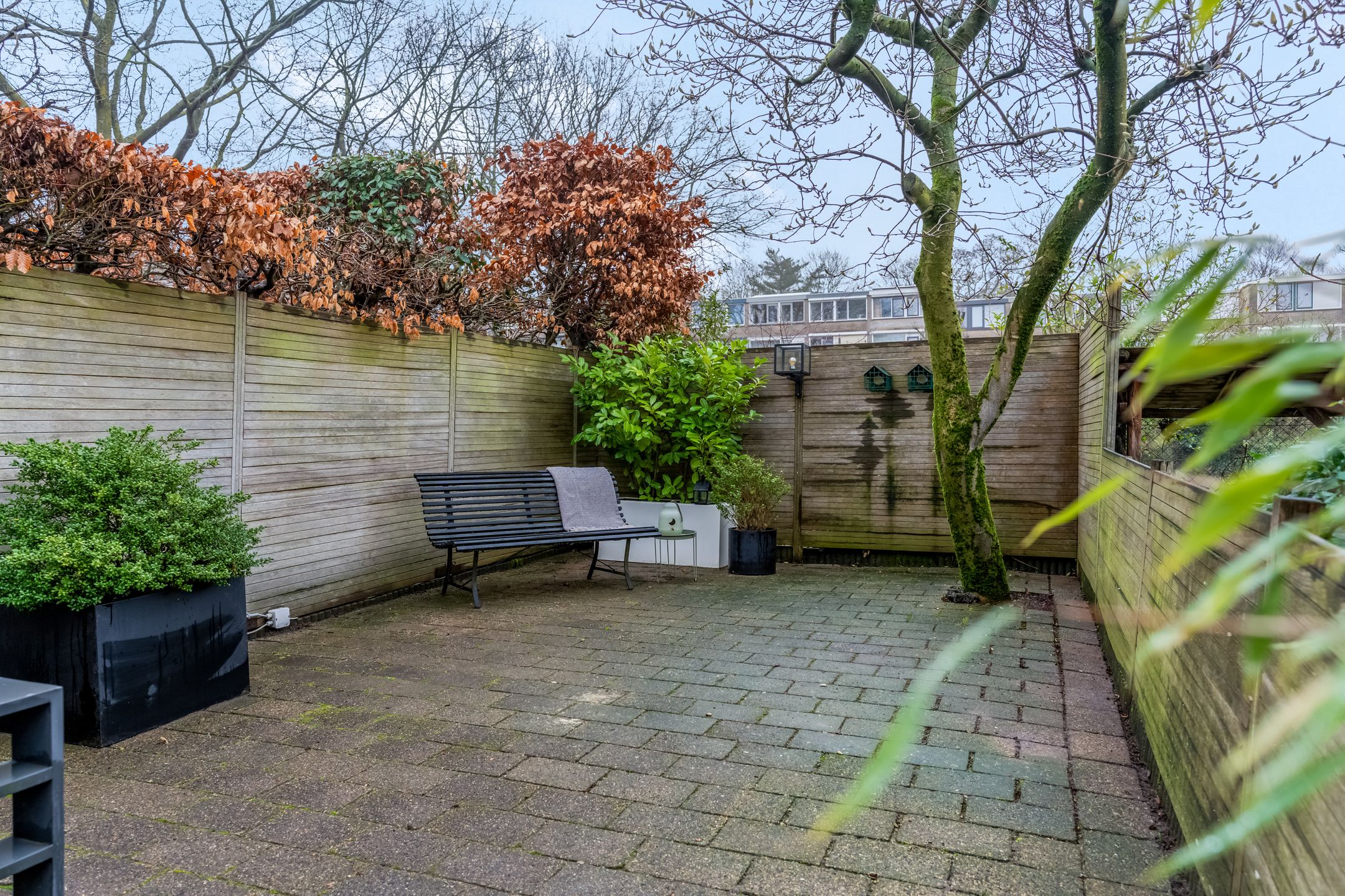 Photo 30 of Molenberg 41