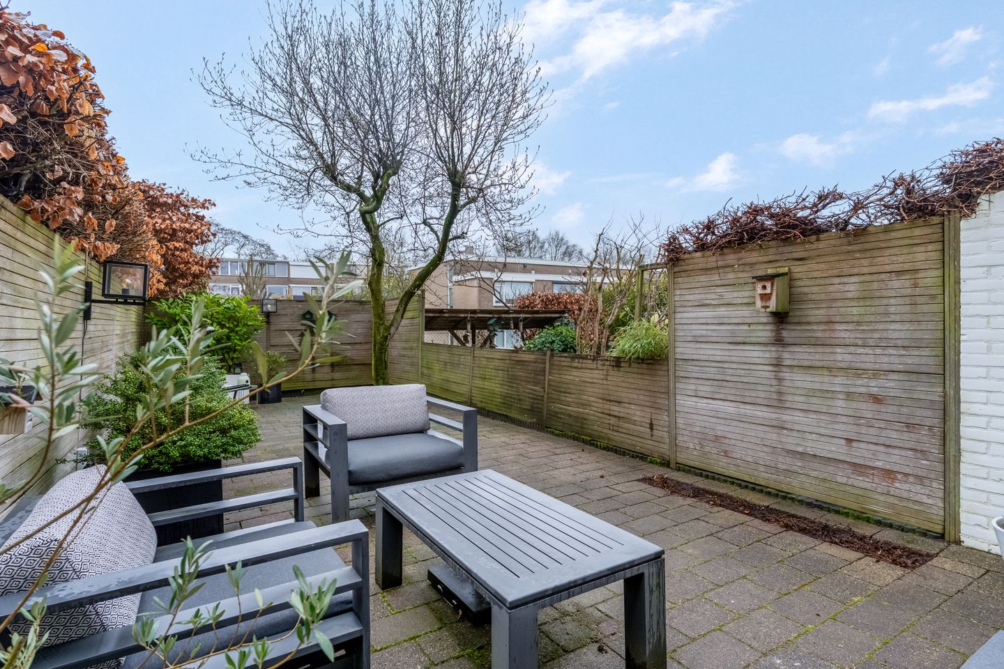 Photo 35 of Molenberg 41