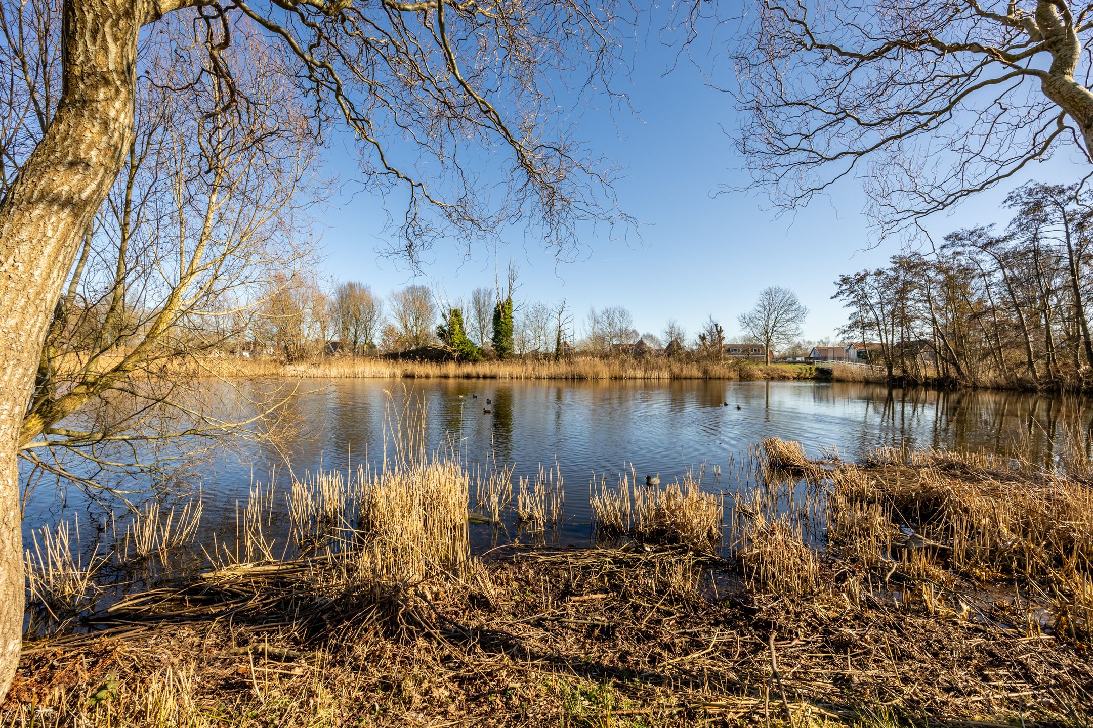 Photo 27 of Strandwal 7