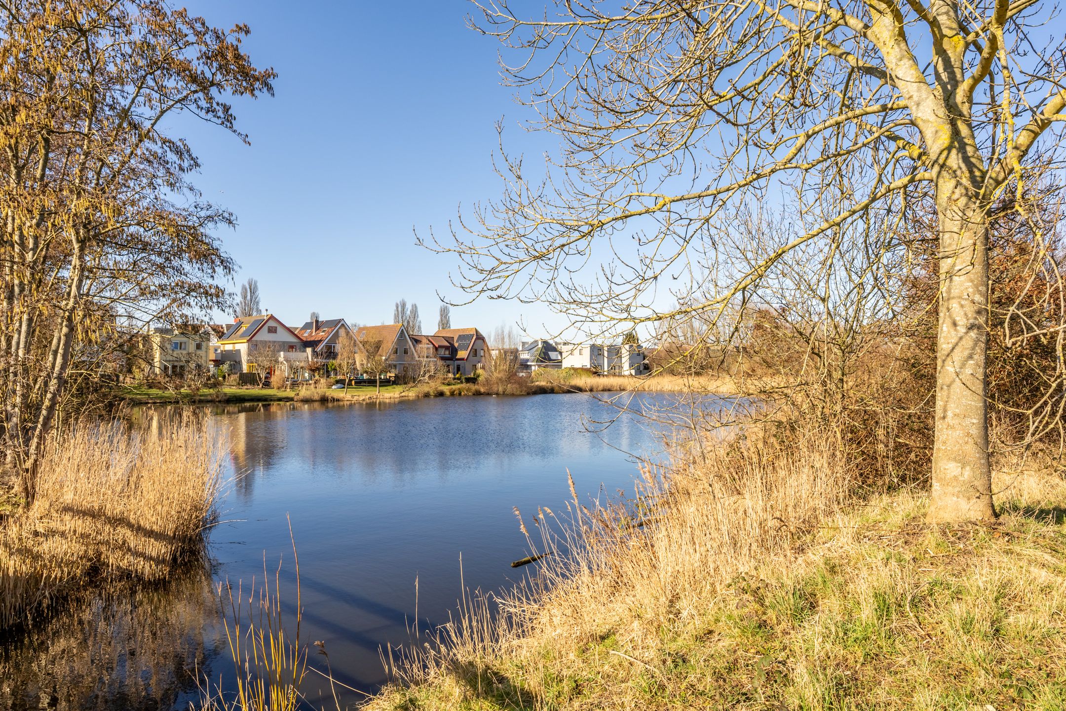 Photo 30 of Strandwal 7