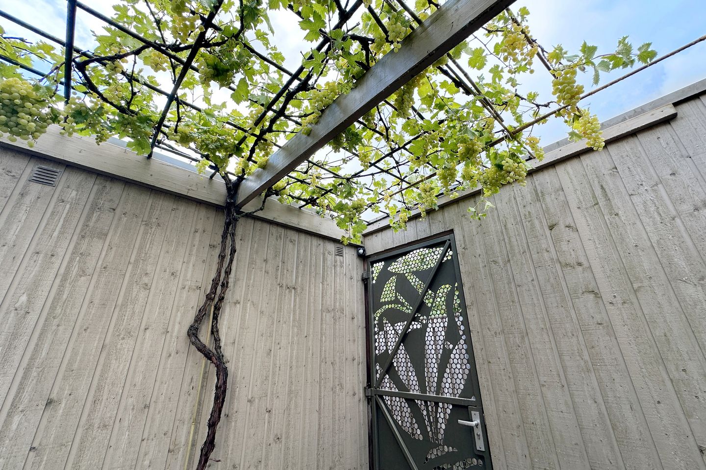 Foto 29 van Smetanastraat 3