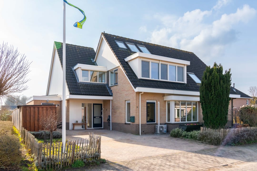 Foto 1 van Havikskruid 4